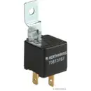 HERTH+BUSS ELPARTS 75613187 Relais, Arbeitsstrom 40A