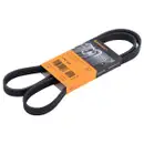 CONTINENTAL CTAM 5PK1334 Keilrippenriemen