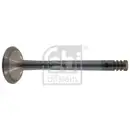 Auslassventil Febi Bilstein 19960 für Audi für Seat für Volvo für VW