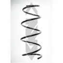 2x Spidan Fahrwerksfeder 56132 Vorderachse Renault Clio II