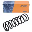 2x Spidan Fahrwerksfeder 55329 Hinterachse Ford Focus