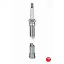 NGK 7586 V-Line 25 Zündkerze PTR5A-13 für FORD, MAZDA, DODGE, CHEVROLET, OPEL