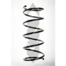 2x Spidan Fahrwerksfeder 55330 Vorderachse Ford Focus