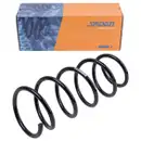 2x Spidan Fahrwerksfeder 56169 Vorderachse Nissan Kubistar Renault Kangoo Rapid