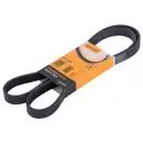 CONTINENTAL CTAM 6PK1453 Keilrippenriemen