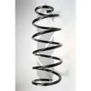 2x Spidan Fahrwerksfeder 49550 Vorderachse Audi A3 Skoda Octavia VW Polo Golf IV