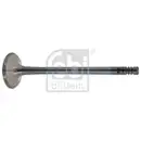 Auslassventil Febi Bilstein 21036 für Audi für Seat für Skoda für VW