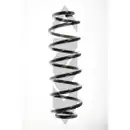 2x Spidan Fahrwerksfeder Hinterachse Skoda Octavia Roomster VW Golf Bora