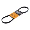 CONTINENTAL CTAM 4PK855 Keilrippenriemen