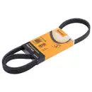CONTINENTAL CTAM 5PK1125 Keilrippenriemen
