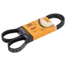 CONTINENTAL CTAM 5PK1250 Keilrippenriemen