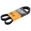 CONTINENTAL CTAM 6PK1105 Keilrippenriemen