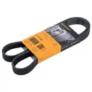 CONTINENTAL CTAM 6PK1165 Keilrippenriemen