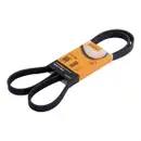 CONTINENTAL CTAM 5PK1546 Keilrippenriemen