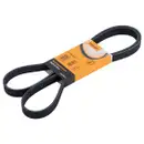 CONTINENTAL CTAM 6PK1642 Keilrippenriemen