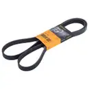 CONTINENTAL CTAM 6PK1743 Keilrippenriemen
