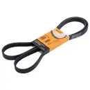 CONTINENTAL CTAM 6PK1830 Keilrippenriemen