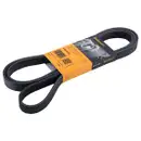 CONTINENTAL CTAM 6PK2175 Keilrippenriemen