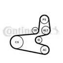 CONTINENTAL CTAM 6PK1560K1 Keilrippenriemen Kit