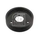 FEBI BILSTEIN 29501 Riemenscheibe für RENAULT