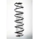 2x Spidan Fahrwerksfeder 56780 Hinterachse Renault Laguna II