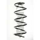 SPIDAN 56290 Fahrwerksfeder