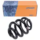 2x Spidan Fahrwerksfeder 85527 Hinterachse VW Multivan T5