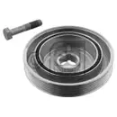 FEBI BILSTEIN 33808 Riemenscheibe (entkoppelt) für PEUGEOT, CITROËN, FIAT