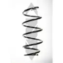 2x Spidan Fahrwerksfeder 55965 Vorderachse Opel Vectra Signum