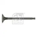 FEBI BILSTEIN 19640 Auslassventil für FORD