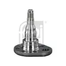 FEBI BILSTEIN 18348 Achszapfen