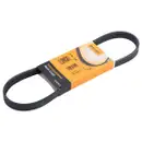 CONTINENTAL CTAM 5PK736 Keilrippenriemen