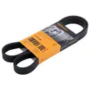 CONTINENTAL CTAM 6PK1185 Keilrippenriemen