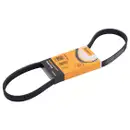 CONTINENTAL CTAM 5PK925 Keilrippenriemen
