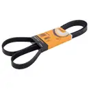 CONTINENTAL CTAM 6PK1623 Keilrippenriemen