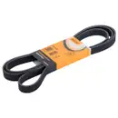CONTINENTAL CTAM 6PK2236 Keilrippenriemen