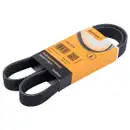 CONTINENTAL CTAM 7PK1113 Keilrippenriemen