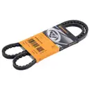 CONTINENTAL CTAM AVX10X1125 Keilriemen