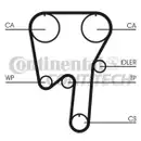CONTINENTAL CTAM CT979 Zahnriemen
