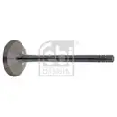 FEBI BILSTEIN 28464 Auslassventil für SKODA, AUDI, VW, SEAT
