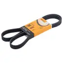 CONTINENTAL CTAM 6PK1448 Keilrippenriemen