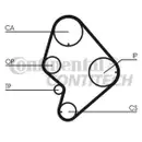 CONTINENTAL CTAM CT723 Zahnriemen
