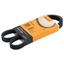 CONTINENTAL CTAM 5PK1015 Keilrippenriemen