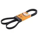 CONTINENTAL CTAM 5PK1680 Keilrippenriemen