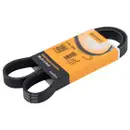 CONTINENTAL CTAM 6PK1060 Keilrippenriemen