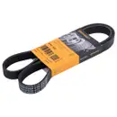 CONTINENTAL CTAM 6PK1230 Keilrippenriemen