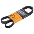CONTINENTAL CTAM 6PK1256 Keilrippenriemen
