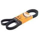 CONTINENTAL CTAM 6PK2040 Keilrippenriemen