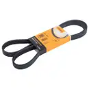 CONTINENTAL CTAM 6PK1515 Keilrippenriemen