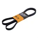 CONTINENTAL CTAM 6PK1733 Keilrippenriemen